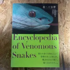 2026年最新】田原義太慶の人気アイテム - メルカリ