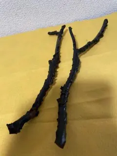 2026年最新】黒珊瑚 原木の人気アイテム - メルカリ