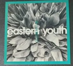2026年最新】eastern youth レコードの人気アイテム - メルカリ