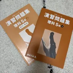 2026年最新】四谷大塚予習シリーズ 5年の人気アイテム - メルカリ