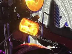 2026年最新】ジビエフォグランプの人気アイテム - メルカリ