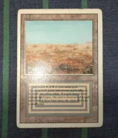 2026年最新】デュアルランドの人気アイテム - メルカリ