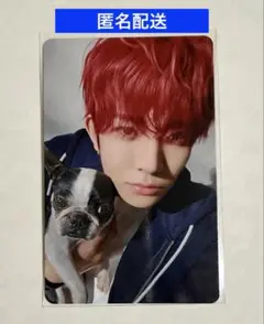 2026年最新】enhypen アンケート トレカ ヒスンの人気アイテム - メルカリ