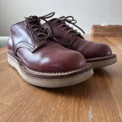 2026年最新】ハソーン ネペンテスの人気アイテム - メルカリ