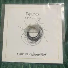 2026年最新】イクイノックス たてがみの人気アイテム - メルカリ