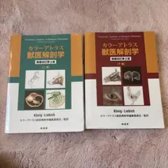 2026年最新】解剖学カラーアトラスの人気アイテム - メルカリ