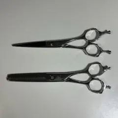 2026年最新】ミズタニシザー セニングの人気アイテム - メルカリ