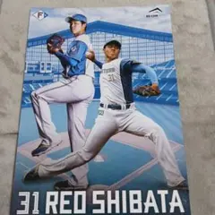 2026年最新】大谷 観戦証明書の人気アイテム - メルカリ