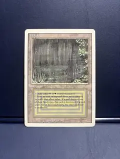 2026年最新】マジック ザ ギャザリング デュアルランドの人気アイテム