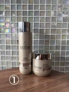 2026年最新】システムプロフェッショナル リペアの人気アイテム - メルカリ