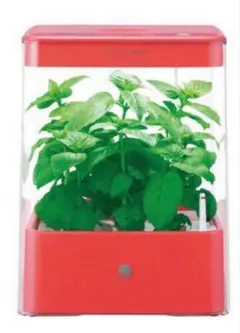 2026年最新】水耕栽培 ユーイングの人気アイテム - メルカリ