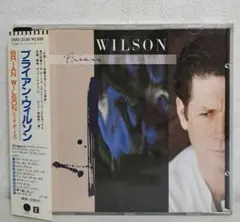 2026年最新】Brian wilsonの人気アイテム - メルカリ