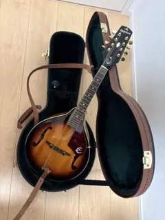 2026年最新】epiphone ハードケースの人気アイテム - メルカリ