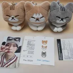 2026年最新】スンドゥンドリの人気アイテム - メルカリ