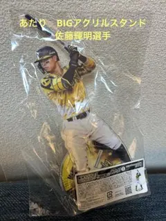 2026年最新】佐藤輝明 アクリルスタンドの人気アイテム - メルカリ