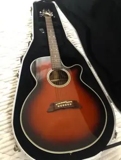 2026年最新】タカミネ pt106の人気アイテム - メルカリ