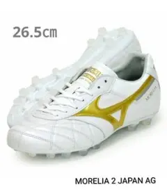 2026年最新】モレリア2japanゴールドの人気アイテム - メルカリ