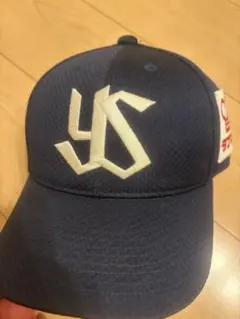 2026年最新】ヤクルト 支給の人気アイテム - メルカリ