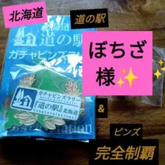2026年最新】道の駅 記念 北海道の人気アイテム - メルカリ