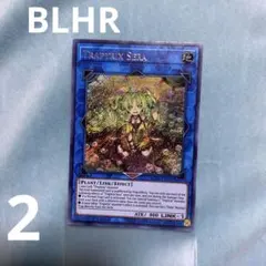 2026年最新】セラの蟲惑魔の人気アイテム - メルカリ