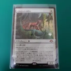 2026年最新】オセロットの群れの人気アイテム - メルカリ