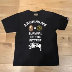 2026年最新】stussy ape tシャツの人気アイテム - メルカリ