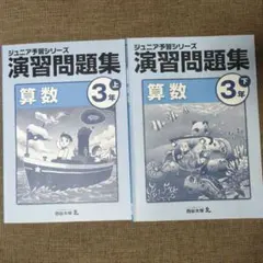 2026年最新】ジュニア予習シリーズ 3年の人気アイテム - メルカリ