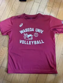 2026年最新】早稲田大学 tシャツの人気アイテム - メルカリ