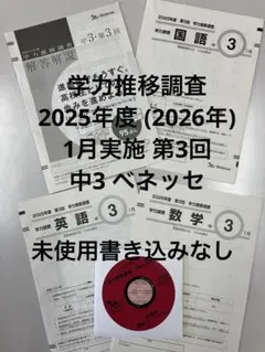 2026年最新】ベネッセ 学力推移調査 第3回の人気アイテム - メルカリ