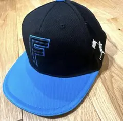 2026年最新】北海道日本ハムファイターズ リーグ名/大会名：パ・リーグ