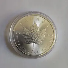 2026年最新】メイプルリーフ銀貨の人気アイテム - メルカリ