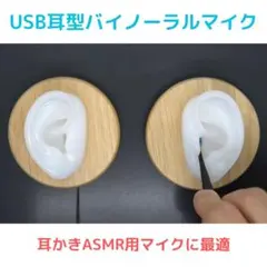 2026年最新】バイノーラルマイク iphone asmrの人気アイテム - メルカリ