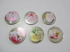 2026年最新】桜の通り抜け メダルの人気アイテム - メルカリ