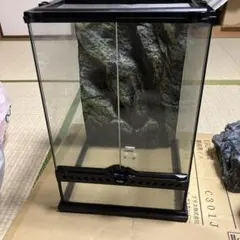 2026年最新】グラステラリウム 3045の人気アイテム - メルカリ