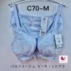 2026年最新】ワコールパルファージュVリッチブラの人気アイテム - メルカリ