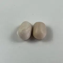 2026年最新】ホリダス 種の人気アイテム - メルカリ