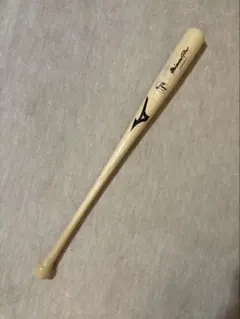 2026年最新】ミズノプロ 支給の人気アイテム - メルカリ