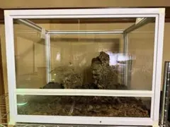 2026年最新】爬虫類 ケージ 6045の人気アイテム - メルカリ