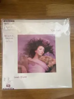 2026年最新】ケイト・ブッシュ レコードの人気アイテム - メルカリ