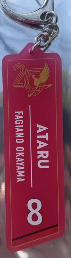 2026年最新】ファジアーノ岡山 キーホルダーの人気アイテム - メルカリ