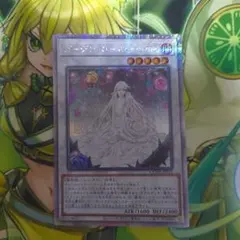 2026年最新】ガーデンローズ 25thの人気アイテム - メルカリ