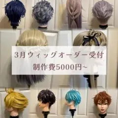 2026年最新】ウィッグ オーダーの人気アイテム - メルカリ