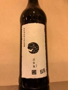 2026年最新】涅槃亀の人気アイテム - メルカリ