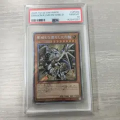 2026年最新】聖域を守護せし光の龍 エクストラシークレットの人気