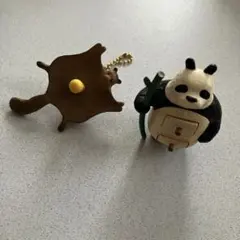 2026年最新】kiyataの人気アイテム - メルカリ