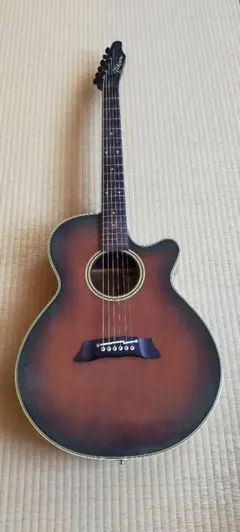 2026年最新】タカミネ pt106の人気アイテム - メルカリ