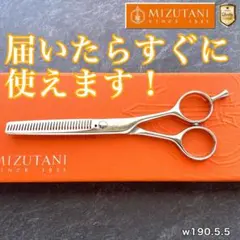 2026年最新】ミズタニシザー セニングの人気アイテム - メルカリ