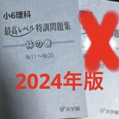 2026年最新】浜学園 小6 最高レベル特訓 テキストの人気アイテム