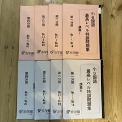 2026年最新】浜学園 小6 最高レベル特訓 テキストの人気アイテム