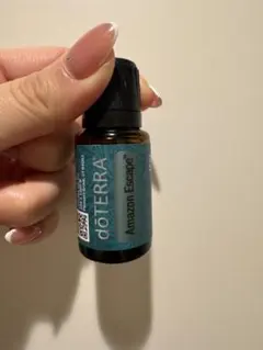 2026年最新】ドテラコンベンションの人気アイテム - メルカリ